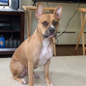 Meet your Posher, Iain